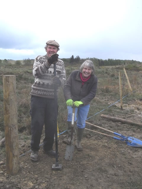Volunteers installing fence posts